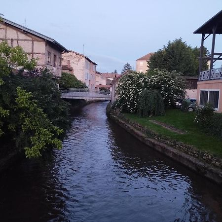 La Maison De Marie, Cosy Et Spacieuse - 3 Chambres Dont Une Climatisee Châtillon-sur-Chalaronne 외부 사진